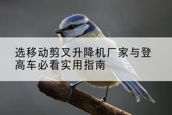 保山电动升降机厂家-选移动剪叉升降机厂家与登高车必看实用指南