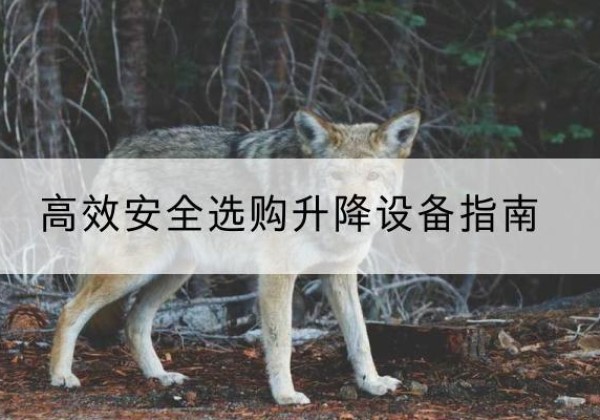 保山升降货梯厂家推荐-*安全选购升降设备指南